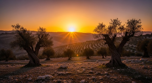 Why does God protect Israel